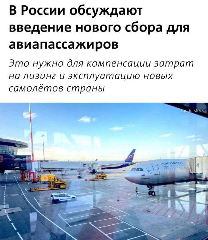 Иллюстрация к посту канала Просвет | Новости России