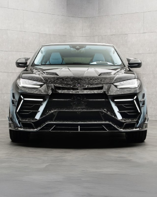 Mansory Venatus EVO S 4