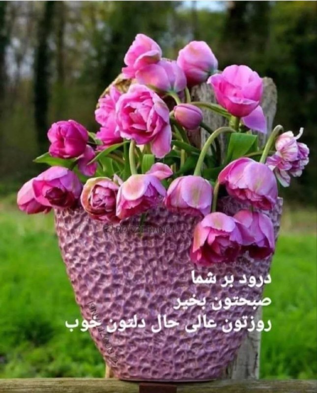 نوید یزد کانالی اجتماعی وفرهنگی.کانالی برای همه سلیقه ها: صبح آمدهدفتر اين زندگى را باز کنزيستن را با سلام تازه اى آغاز کنگل بخند و گل شنو در گلشن اين بوستانزندگی را با عشق تازه 