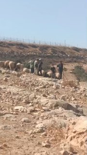 מתנחלים מסתערים על סביבת ח'רבת אומנזל במסאפר יטא, דרומית לחברון, ומתגרים בתושבים במסגרת התקפות יומיומיות.