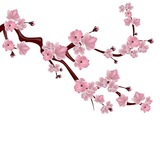 ОТЗЫВЫ НА УСЛУГИ КЬЮТИ › ♡゙