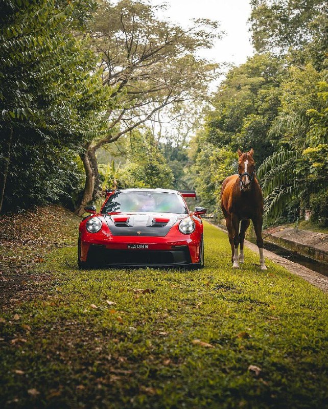 GT3 RS + 1 л.с. 7