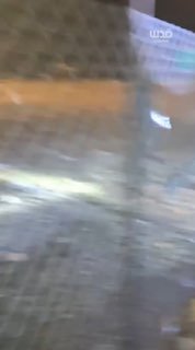 המתנחלים נמלטו לאחר שהפלסטינים התעמתו איתם בבתי משפחת "אבו פאזה", מזרחית לעיירה אל-טייבה, מזרחית לרמאללה.