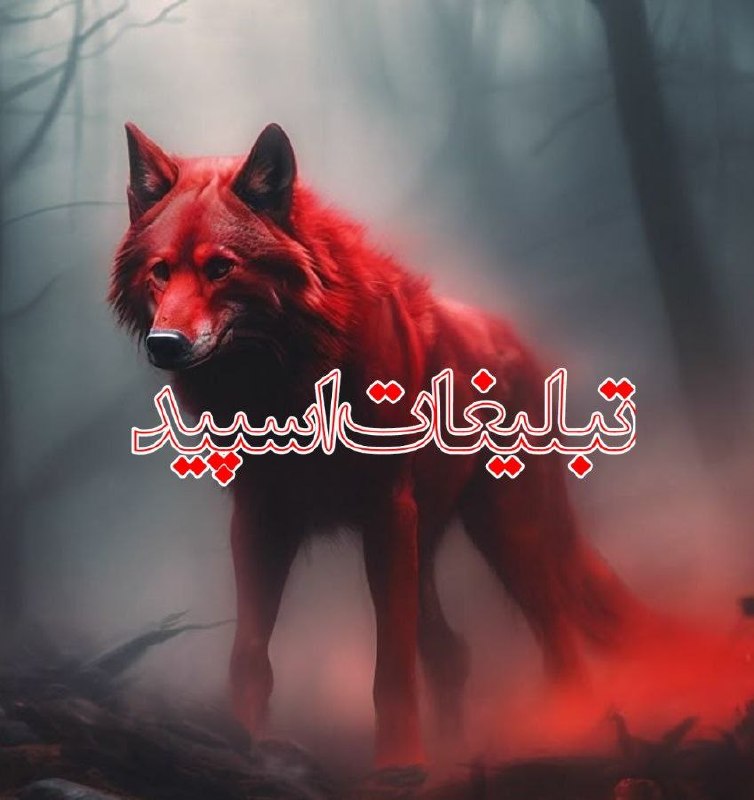 گروه دوستیابی دخترونه خرم آباد: ❶﹚ نام : ✶میتینگ مور؋ــین✶❷﹚ نو؏ تبلیغات : #telegram❸﹚ توضیحات :بــه ༒مـیـتـیـنـگ مورفین ༒خـوش اومـدیـدویـسـکـال 𝟐𝟒 فـعـ