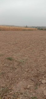 Сугориладиган ерларни ижарага бериш. Аренда поливной земли