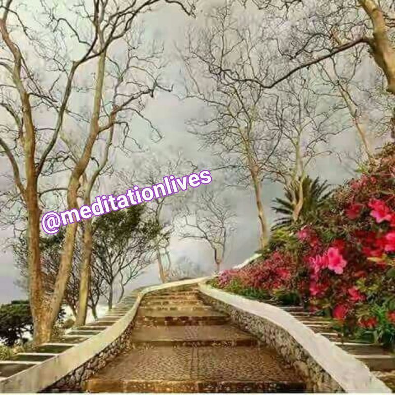 یوگا تندرستی: 🖍 سختی‌ها را جدی نگیر؛🌸 اصلا بگذار از این همه خونسردی‌ات تعجب کند.🌸 بگذار بداند تو بیدی نیستی که با این بادها بلرزی!🌸 اص