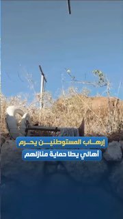 סצנות מח'לת אל-חומוס, מדרום ליטא, מסכמות את חוסר האונים שנכפה על הפלסטיני; משק החי של המתנחלים פולש לסביבת…