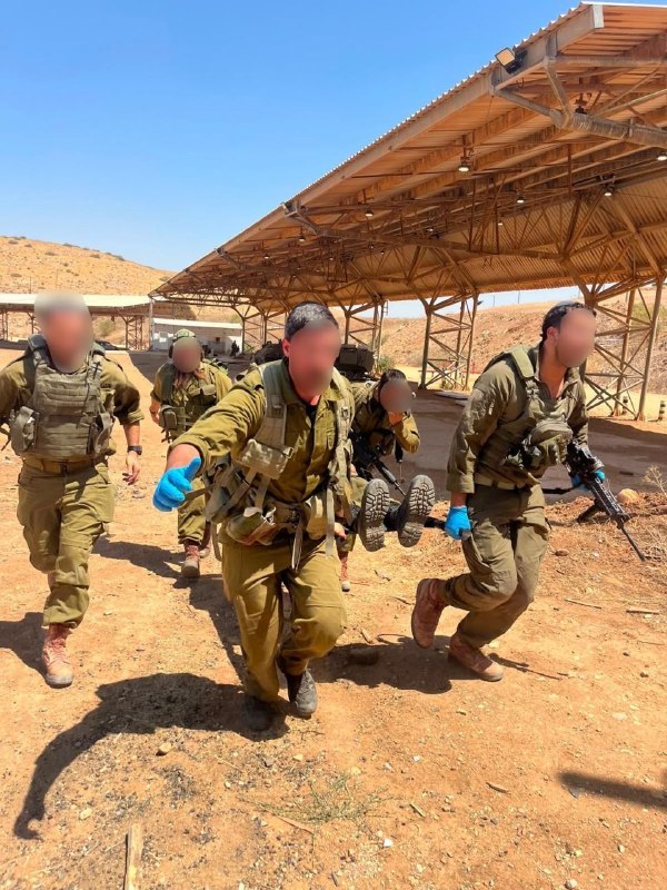 אלי הירשמן