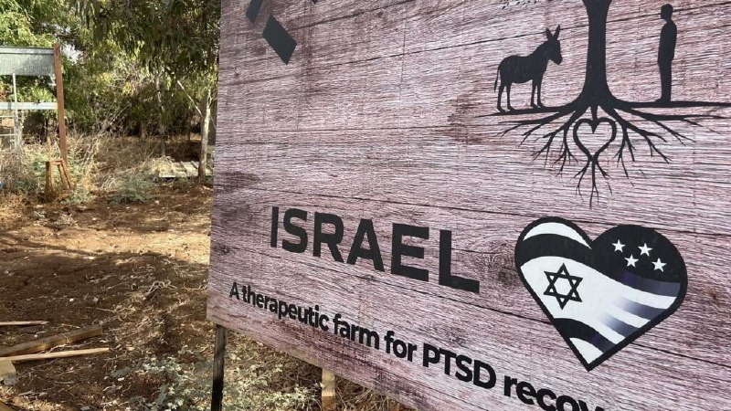 בחירות בישראל: "הרגתי הרבה מחבלים... אבל זה לא גרם לי להרגיש טוב יותר".