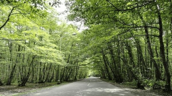 آخرین خبر گیلان: تداوم هوای گرم در گیلان تا چهارشنبه🔹️مدیرکل هواشناسی گیلان: بررسی نقشه‌ها نشان‌دهنده استقرار و فعالیت الگوی گرم و تابستا