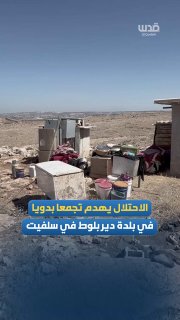 The effects of the demolition of a Bedouin community by the occupation army in the town of Deir Belot, west of Salafit.