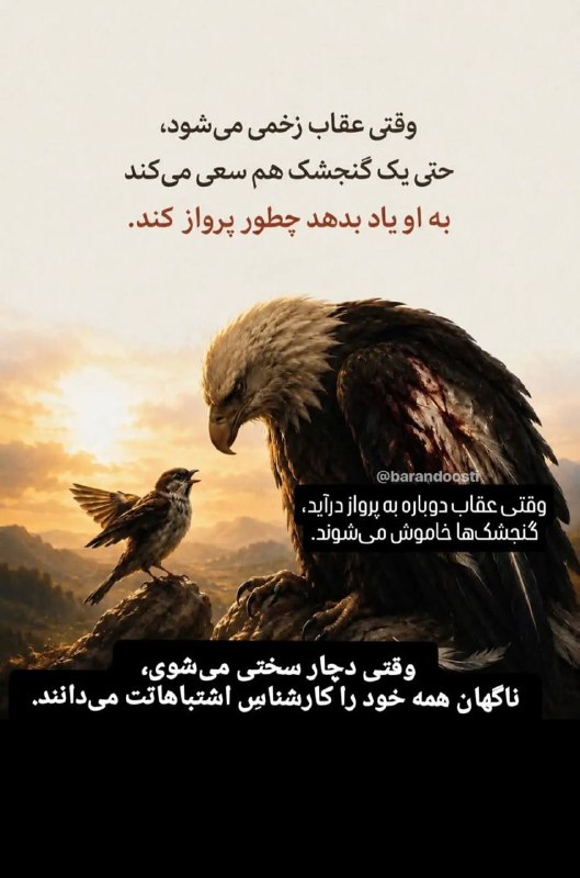 🎧سابلیمینال های جادویی🎧: قدرت ، تحسين مى شود... تا وقتى كه آسيب پذيرنشود.همين كه عقابى زخمى مى شود، حتى يك گنجشك هم شروع مى كند به او درس دادن كه
