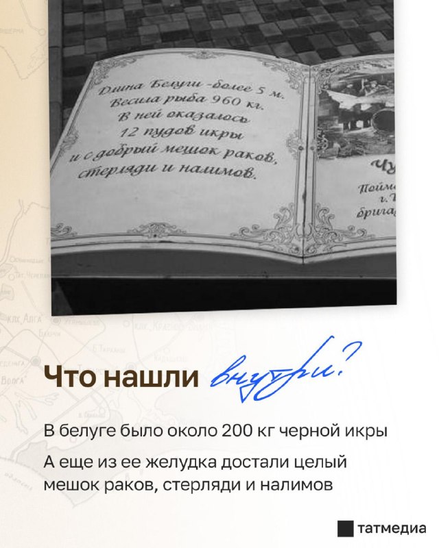 Image from a post by ЧЕЛНЫ ОНЛАЙН 716