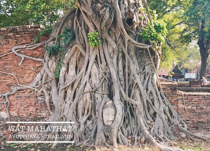 【Thai．Ayutthaya】一日曼谷近郊泰國古都大城府：瑪哈泰寺Wat Mahathat看樹中佛頭、最大青銅坐佛與涅槃寺露天臥佛