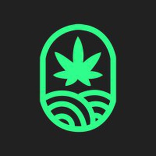 JuicyFields Español Telegram Group Link