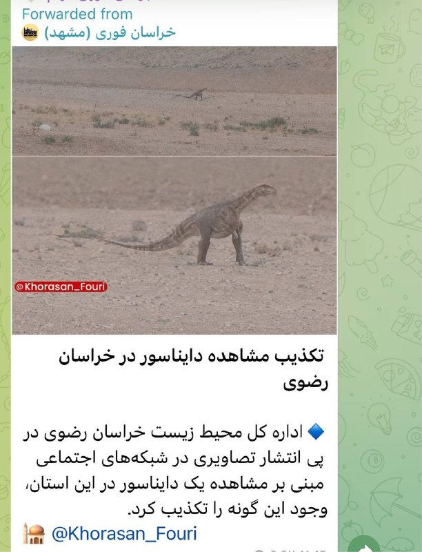 توییتی: ‏خراسان اینجوریه که حضور دایناسور توش باورپذیر و ممکنه و نیاز به تکذیب رسمی داره@TweetyChannel | Maagas