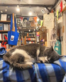 Независимый книжный магазин «Ходасевич» объявил о закрытии«В декабре команда “Ходасевича” писала, что это может быть последний год работы магазина. Кажется, время пришло. Наш подвал закрывают на капитальный ремонт, обратно нас не пустят», — рассказали в ко