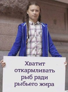 Развеян популярный миф о пользе рыбьего жира: https://lentach.media/x7xnm