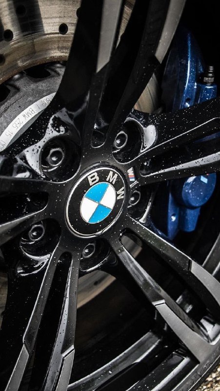 https://t.me/bmw_mpower_club