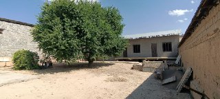 Кибрай Селекция (Ахиллик) 6 соток сотих ер yer sotiladi seleksiya