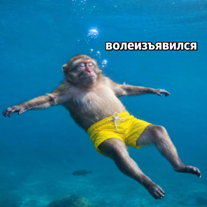 Иллюстрация к посту канала Т-Инвестиции
