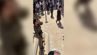 ענבר טויזר