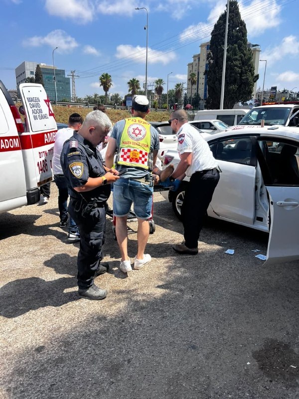 אור רביד