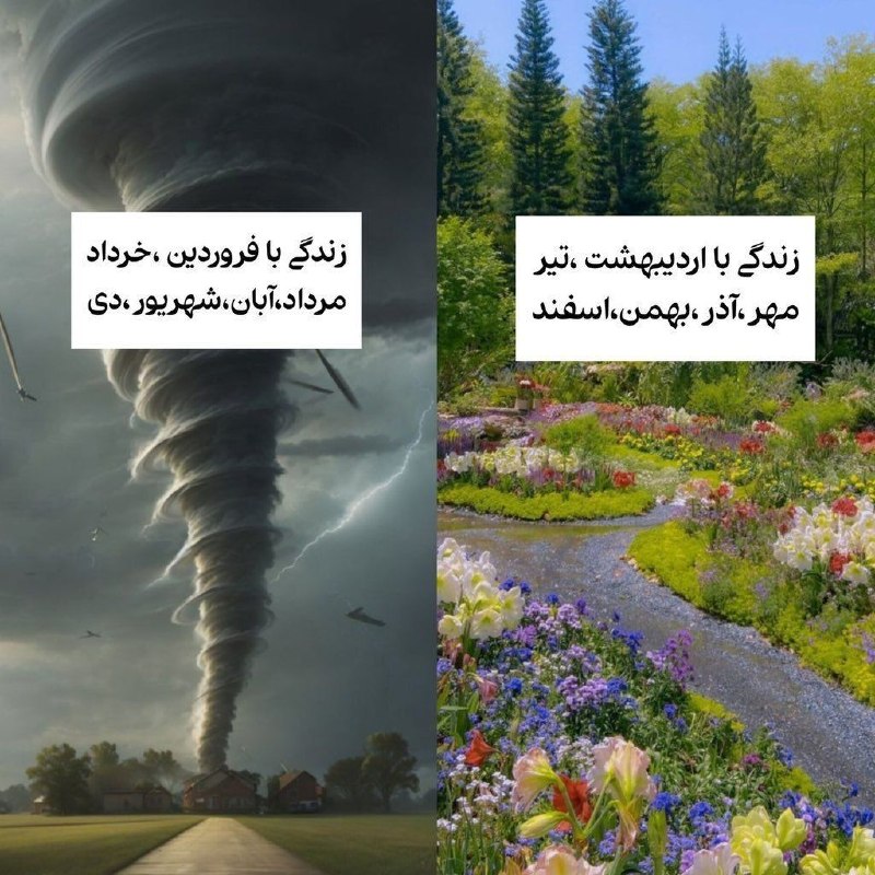 خنده بازار 💯: واقعیت😅@khandbazar20/😁بازار