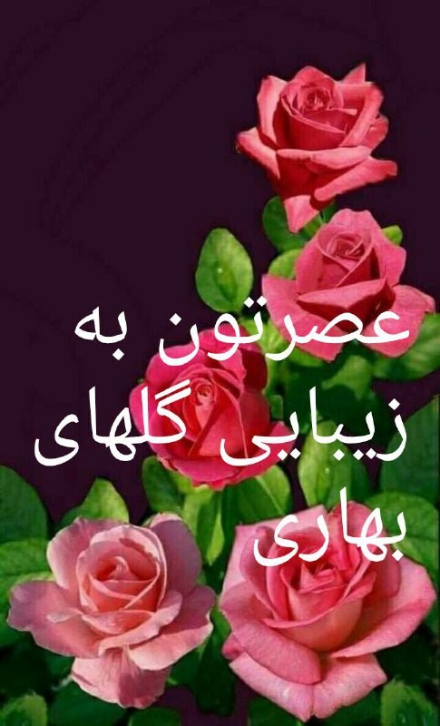 ادبی ، شعر، داستان،بزرگان، ضرب المثل، رمان، شخصیتها ، نویسندگان ، متن کوتاه، خاطرات ، مناظرطبیعت ،: رسانه پست
