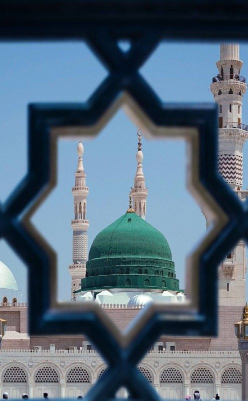 غَسَقْ 💚: عادَتكُم الإحسان وسَجيتكُم الكرم .