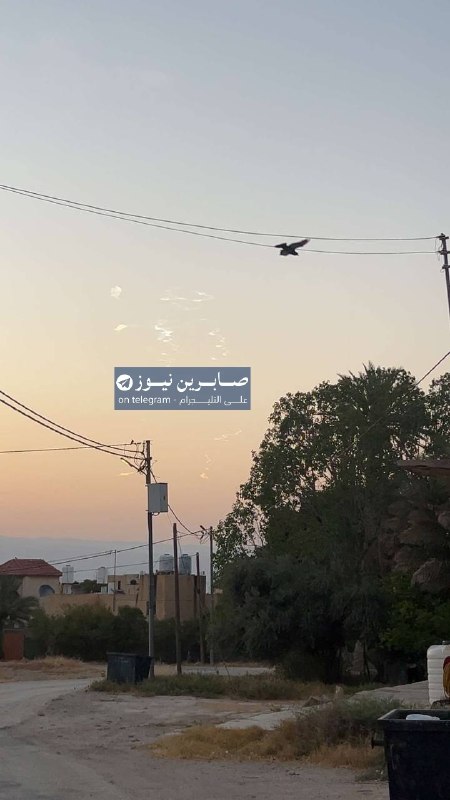 מהשטחים הפלסטיניים הכבושים