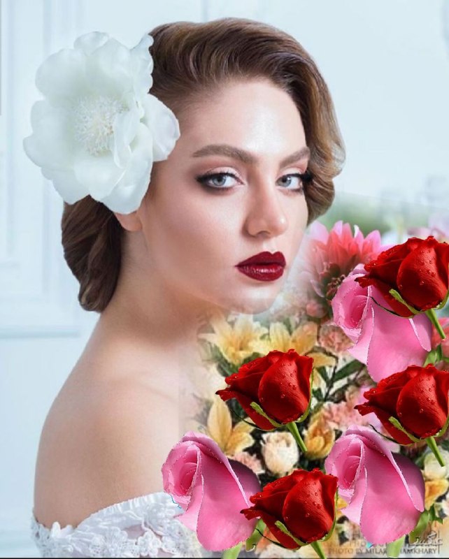 💞پندانه💞: دوستانمبرگ هایی ازدفترزندگیم هستندنمی دانم شما برگ چندماین دفتر هستیداما گوشه این برگ را تا زده امتا هرگز فراموش نشویدمر