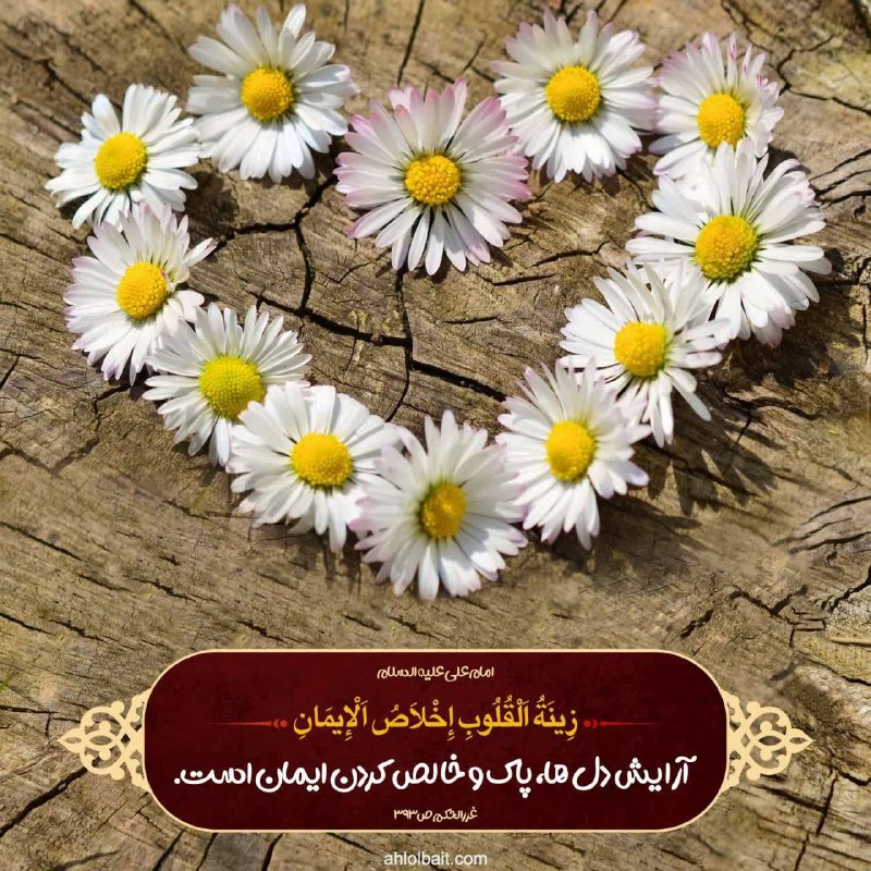 ️ دیمه | اخبار فیروزکوه: 🌱هر روز خود را با بِسْمِ اللَّـهِ الرَّحْمَـٰنِ الرَّحِيمِ و خواندن دعای عهد آغاز کنیم🌱امام علی علیه‌السلام:آرایش دل‌ها،