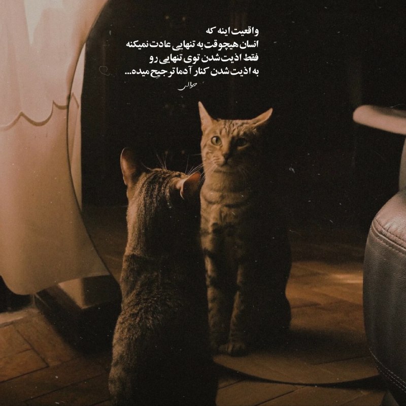 | .حالِ دِلَمـ . |: واقعیت اینه کهانسان هیچوقت به تنهایی عادت نمیکنهفقط اذیت شدن توی تنهایی روبه اذیت شدن کنار آدما ترجیح میده@my_he
