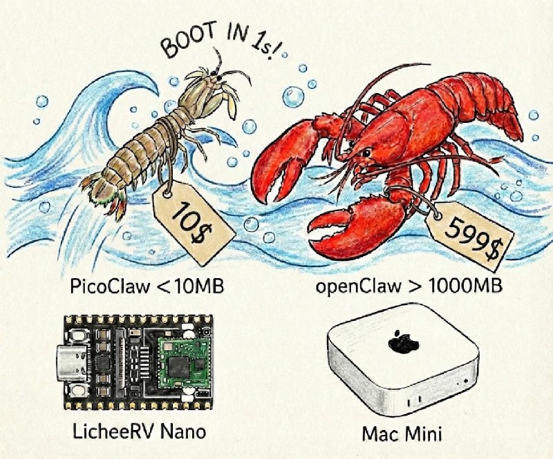 来自中国的硬件团队的这个 PicoClaw 牛逼，把 OpenClaw（前Clawdbot）用 Go 彻底重构了