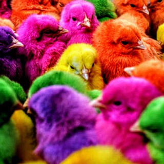 AJLINATORI 💙 Telegram Group Link