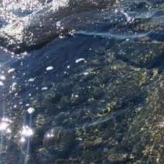 Foniy... Telegram Group Link