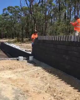When you lay bricks like dominoes at the proper distance, on top of the obvious domino effect, you get an unexpected opposite wave starting as soon as the last bricks falls down.Science and facts💡