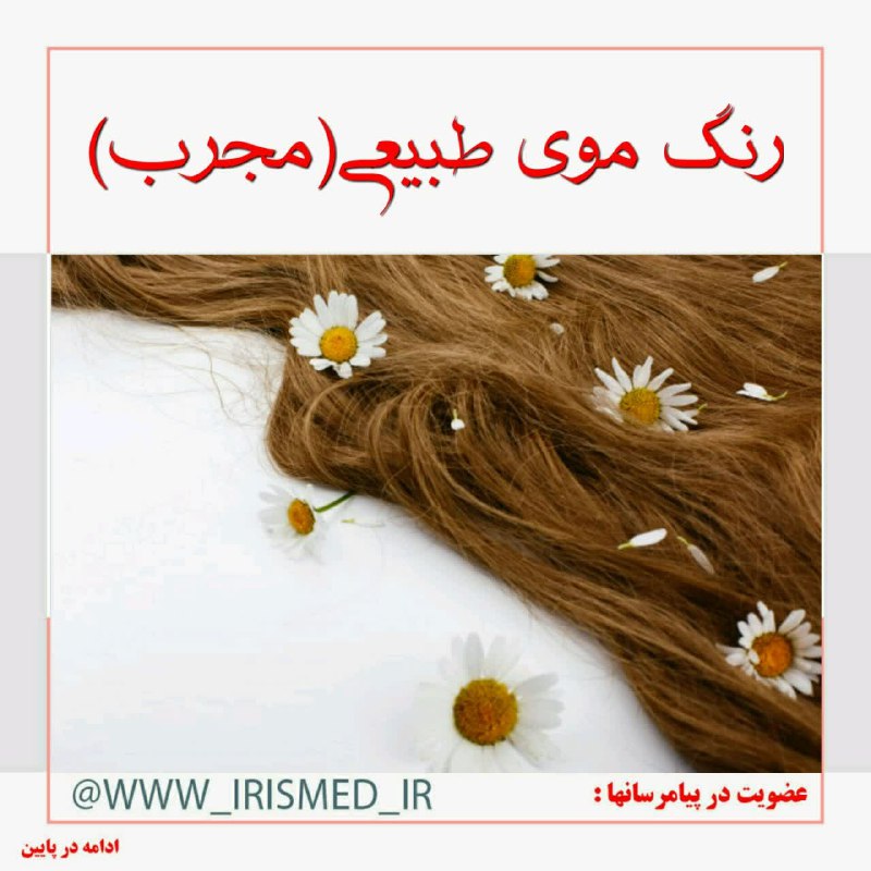 درمانگاه طب اسلامی گیاهی شفا: 🔴 رنگ موی طبیعی♻ آثار درمانی آن:۱. کاهش #ریزش_مو۲. تقویت پیاز موها۳. رفع #خشکی_پوست سر و موها۴. رفع #شوره_سر و مانند این