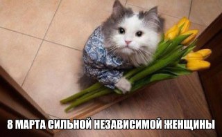 День любимых дам на пороге. Сегодня цветочные пухнут от посетителей. А как правильно выбрать цветочки для обожульки — рассказали в нашем MAX.