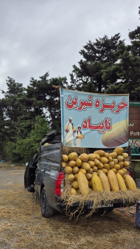 ༄ ریـــــاح༄: هی جااااان دلم وا شد 😂