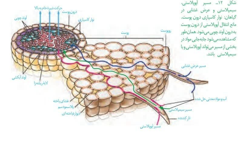 کانون قلم چي نورآباد: رسانه پست