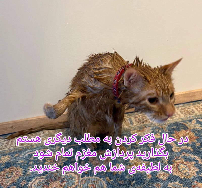دانشــ🎓ــجو: برو دیگه که قیدتو زدم🫷🏻 MonikA 👉🏻 @Daneshjoo- Zein👉🏻 @Daneshjoo
