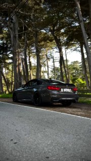 https://t.me/bmw_mpower_club