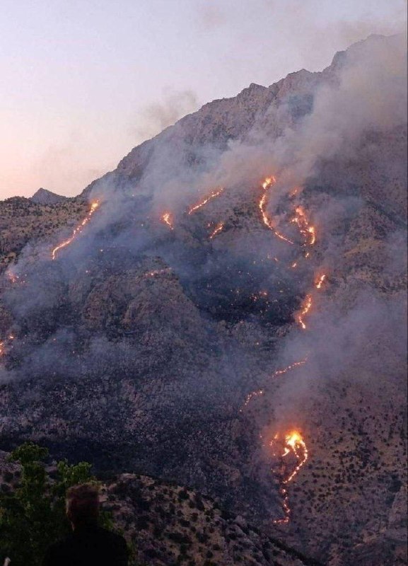 میدیای سەربەرزی: 📢ئاکرەکەی دوێنێی ناوچەی شاهۆ و کۆساڵان دوای ۱۵ کاتژمێر بەتەواوی کونتڕۆڵ کرا و کوژایەوە.📢مهار آتشسوزی منطقه شاهو و کوسال