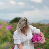 PROVENCE_PARFUM