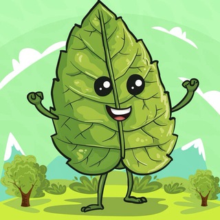 $GREEN COIN MEME | SOL Telegram Entertainment bot