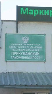В рилсах показали, как будет выглядеть российская таможня после увеличения утиль
