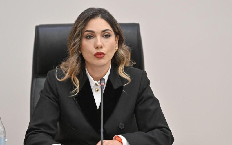 הטיוטה החדשה של חוקת ארמניה תפורסם באמצע נובמבר - סרבוהי גליאן טיוטת החוקה החדשה של הרפובליקה של ארמניה תהפ…