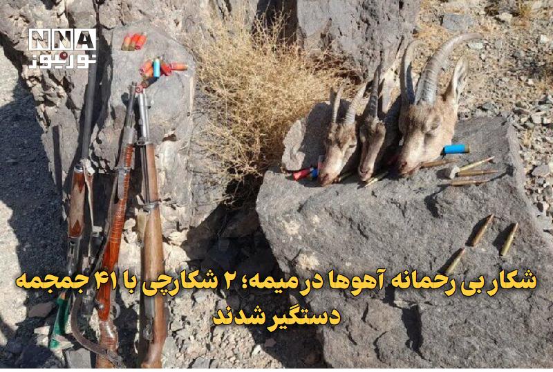 نورنیوز: ✅ شکار بی‌رحمانه آهوها در میمه؛ ۲ شکارچی با ۴۱ جمجمه دستگیر شدند🔹 ۲ شکارچی غیرمجاز که اقدام به شکار ده‌ها رأس آهو در منا